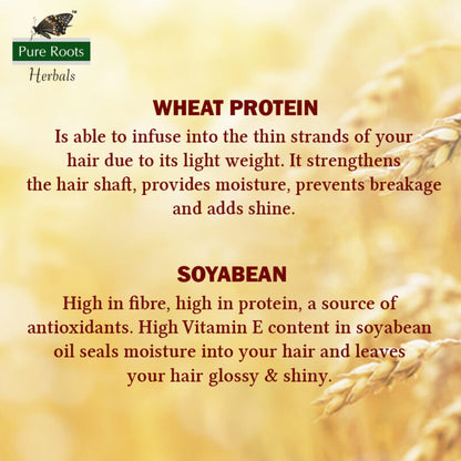 Protein Shampoo With Soyabean & Wheat Protein 1000ml + Ubtan Face Wash 100ml
